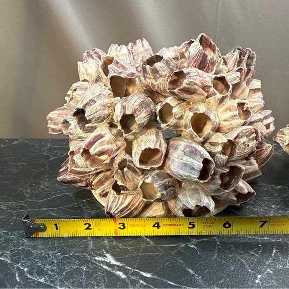 Decorative Barnacle Clusters - Purple and Cream sconces candle holders - Picture 14 of 15